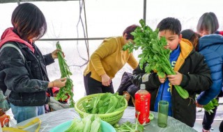 择菜洗菜的正确方法 择菜洗菜方法如下