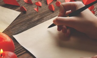 描写野草的优美句子有哪些 有关野草的唯美句子