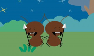 驱赶蚂蚁最好用的方法 驱赶蚂蚁最好用的方法推荐