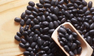 黑豆泥如何做 黑豆可以养颜吗