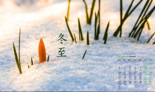 冬至节气农事之越冬鱼池管理 冬至节气农事之越冬鱼池如何管理