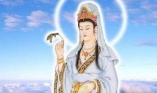 佛教八大菩萨简介 佛教八大菩萨简单介绍