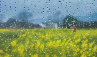 比喻春雨滋润万物的句子 比喻春雨滋润万物的唯美句子