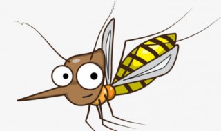 冬天蚊子特别多怎么回事 冬天蚊子特别多的原因