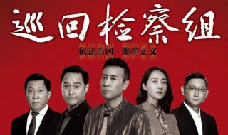 宝宝于和伟巡回检查组演什么 巡回检查组简介