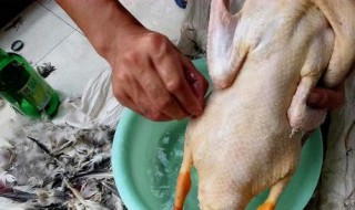 用蜡脱鸭毛的技巧 用蜡脱鸭毛有什么技巧