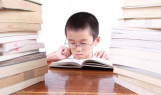 团组词 团组词及解释