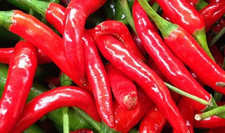小红辣椒储存方法 关于小红辣椒储存方法