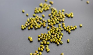 绿豆芽生产技术 绿豆芽生产技术是什么