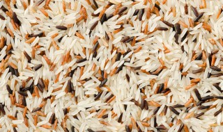 菰米怎么吃 怎么吃菰米