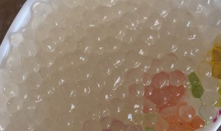 东京丸是不是西米露 东京丸是西米露吗