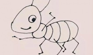 怎么杀灭树干里的蚂蚁 杀灭树干里的蚂蚁的方法