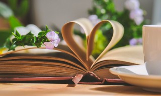 稻菽怎么念什么意思 稻菽如何念什么意思