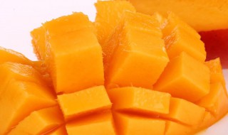 爱文芒果的特点 爱文芒果的特点介绍