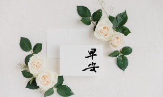 冬天暖心的早安问候短信 冬天暖心的早安问候语录