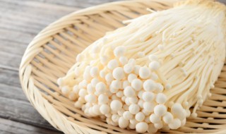 凉拌蚝油金针菇的做法 凉拌蚝油金针菇怎么做