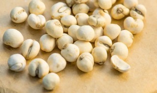 川贝瘦肉的做法和功效 川贝瘦肉的做法和功效是什么