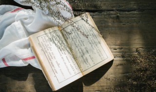 寓意好的诗句 有美好寓意的诗词有哪些