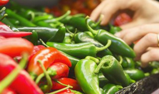 青椒酱的做法与储存方法 青椒酱的做法与储存