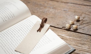 赞美牛的诗句 赞美牛的诗句举例