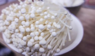 推荐金针菇保存方法 金针菇的储存