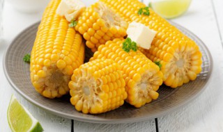 玉米的保存方法有哪些 存放玉米的窍门