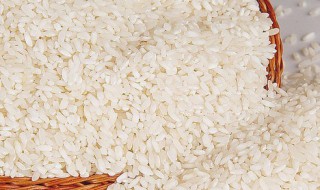 白米的保存方法 白米如何存放