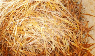 干黄花菜应该如何保存 如何保存干黄花菜