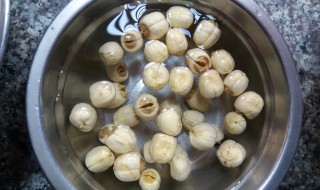 泡发的莲子煮多久能熟 莲子要泡多久才可以煮