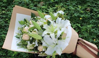 百合和茉莉的花语是什么 百合和茉莉的花语是代表什么