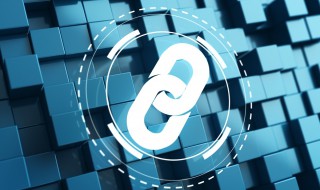 支链是什么 什么是支链