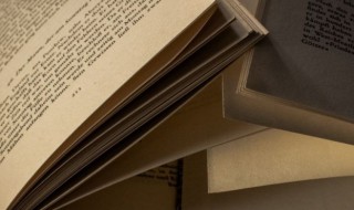 寸丝半粟的意思 寸丝半粟的解释