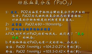 pao2是什么意思 pao2意思是什么