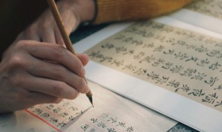 半字的音节是什么笔顺是什么 半字的音节是啥笔顺是什么