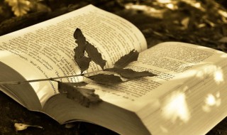 却怎么组词 却的组词