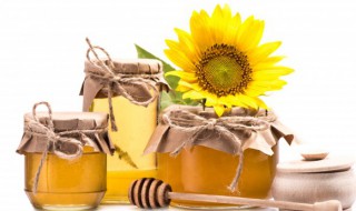 蜜组词 蜜是什么意思