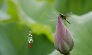 7月22号什么日子 7月22号日子简介