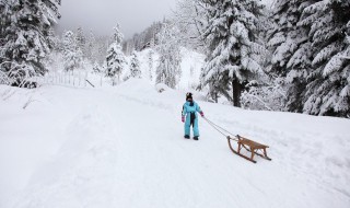 有关于雪的歇后语 与雪有关的歇后语有哪些