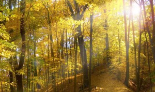 秋季每日祝福句子 秋季每日祝福句子有哪些