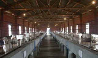 养殖场管理制度 养殖场的管理制度