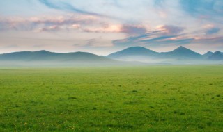 描绘春草的诗句 描绘春草的诗句以及译文