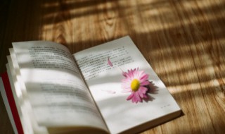 桃花的诗句有哪些 描写桃花的诗句及出处