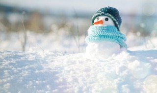 冬天的诗句 古诗 冬天的诗句有哪些