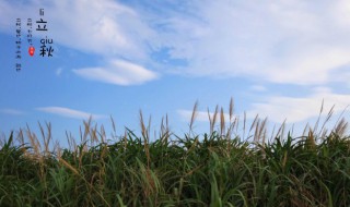 形容秋天凉爽的诗句 秋天凉爽的诗句介绍