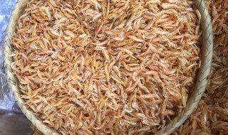 小活虾米的储存方法 小活虾米的储存步骤