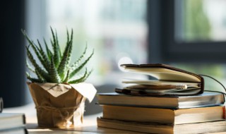 好听的古诗句子唯美 好听的唯美诗句诗词有哪些