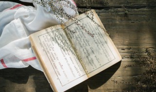 树的诗句 关于树的诗句有哪些