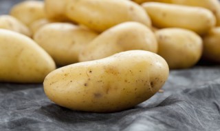 秋天可以种土豆吗 秋天能否种土豆