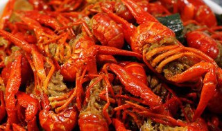 龙虾怎么养殖方法 龙虾如何养殖方法