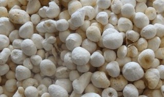 如何挑选半夏 选购半夏的窍门